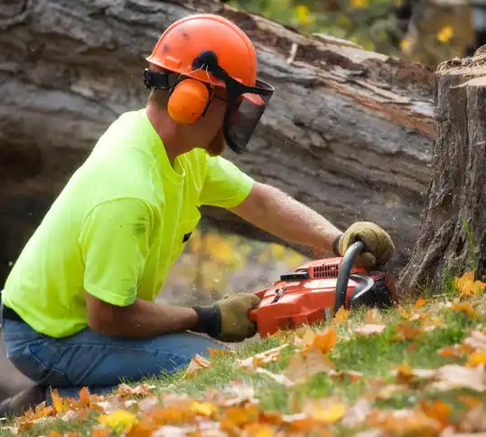 tree services Alpena